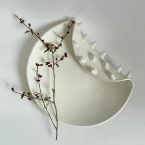 دیس سرامیکی دست‌ساز خاص - 1