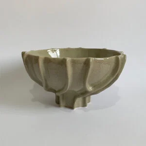 Nature-Inspired Ceramic Bowl -1